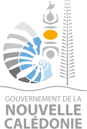 Logo Gouvernement NC — DINUM